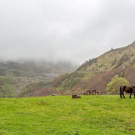 Relax En Somiedo * La Peral (Somiedo, Asturias)